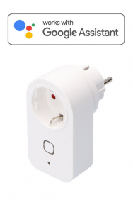 Stekker voor Google Assistant