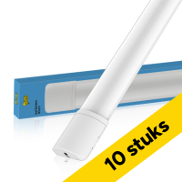 Voordeelverpakking | 10 stuks