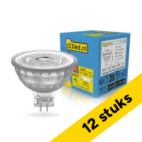Voordeelverpakking | 12 stuks
