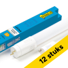 Aanbieding: 12x 123led LED TL buis 120 cm | 4000K (840) | 2160 lumen | T8 (G13) | 18W (36W)