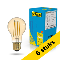 Aanbieding: 6x 123led LED lamp E27 | Peer A60 | Goud | 2100K | Dimbaar | 4.5W (40W) LDR02657