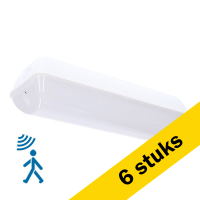 Voordeelverpakking | 6 stuks