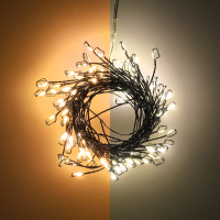 Cluster micro draadverlichting op batterijen | 2 meter | Extra warm wit & warm wit | 100 lampjes | Zwart LDR07377