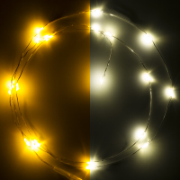 123led Draadverlichting op batterijen | 1 meter | Extra warm wit & warm wit | 20 lampjes | Zilver  LDR07279