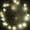 123led Draadverlichting op batterijen | 1 meter | Extra warm wit & warm wit | 20 lampjes | Zwart  LDR07282 - 3