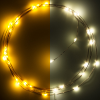 123led Draadverlichting op batterijen | 2 meter | Extra warm wit & warm wit | 40 lampjes | Koper  LDR07277