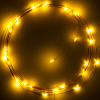 123led Draadverlichting op batterijen | 2 meter | Extra warm wit & warm wit | 40 lampjes | Koper  LDR07277 - 2
