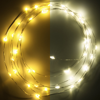 123led Draadverlichting op batterijen | 2 meter | Extra warm wit & warm wit | 40 lampjes | Zilver  LDR07280