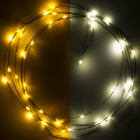 123led Draadverlichting op batterijen | 2 meter | Extra warm wit & warm wit | 40 lampjes | Zwart  LDR07283