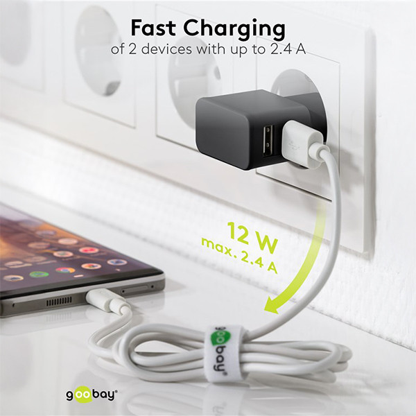 Goobay USB-A oplader | 2 poorten | 12W | Zwart LDR03639 - 5