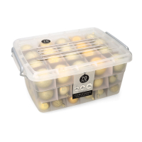 Kerstballenset inclusief opbergbox | Mat, glans & glitter | Goud | 70 stuks