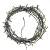 123led Kerstverlichting 12 meter | extra warm wit & warm wit | 120 lampjes  LDR07002 - 4