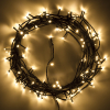 123led Kerstverlichting 12 meter | extra warm wit & warm wit | 120 lampjes  LDR07002 - 2