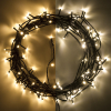 123led Kerstverlichting 12 meter | extra warm wit & warm wit | 120 lampjes  LDR07002 - 1