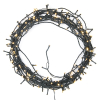 123led Kerstverlichting 16,4 meter | extra warm wit & warm wit | 180 lampjes  LDR07003 - 4