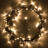 123led Kerstverlichting 8,9 meter | koud wit & warm wit | 80 lampjes  LDR07016 - 2