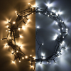 Kerstverlichting 8,9 meter | koud wit & warm wit | 80 lampjes