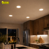 LED Downlight | Rond | 3000-4000-6500K | Ø 16.8 cm | Inbouw | DIP switch | IP44 | 8W-10W-12W LDR08891 - 5