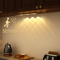 123led LED Kastverlichting 34 cm | Bewegingssensor | RGB + 3000-6000K | Zilver  LDR06580