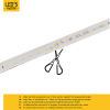 123led LED Lichtslang 25 meter | 5000K | 20.000 lumen | 185W  LDR06819 - 5