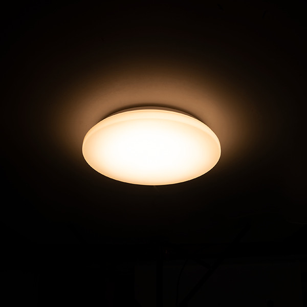 123led LED Plafondlamp | Ø 27 cm | 3000K | 1160 lumen | IP44 | 12W  LDR02030 - 3