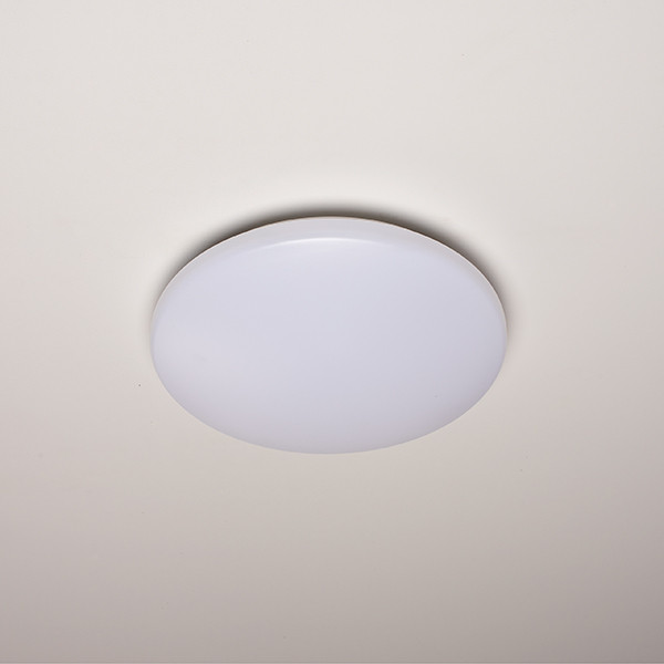 123led LED Plafondlamp | Ø 30 cm | 3000K | 1500 lumen | IP44 | 15W  LDR02032 - 2