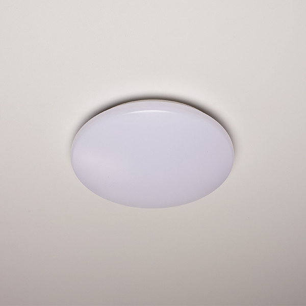 123led LED Plafondlamp | Ø 30 cm | 4000K | 1600 lumen | IP44 | 15W  LDR02033 - 2