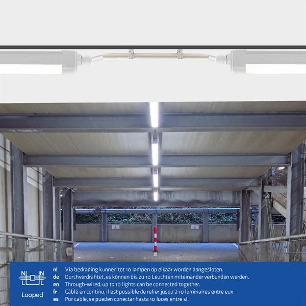 123led LED TL armatuur 120 cm | incl. LED strip | 4000K | 4320 lumen | IP65 | 36W  LDR06809 - 5
