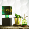 123led LED lamp E27 | Cube | Groen | 2700K | Dimbaar | 4W (25W) LDR09541 - 4