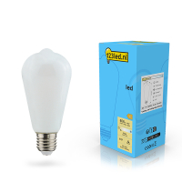 123led LED lamp E27 | Edison ST64 | Mat | 2700K | Dimbaar | 7W (60W)  LDR02116