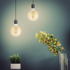 123led LED lamp E27 | Globe G125 | Goud | 2200K | Dimbaar | 2.9W (25W) LDR09496 - 3