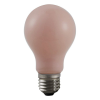 123led LED lamp E27 | Peer A60 | Flame | 1900K | Dimbaar | 4.5W (25W)  LDR06385