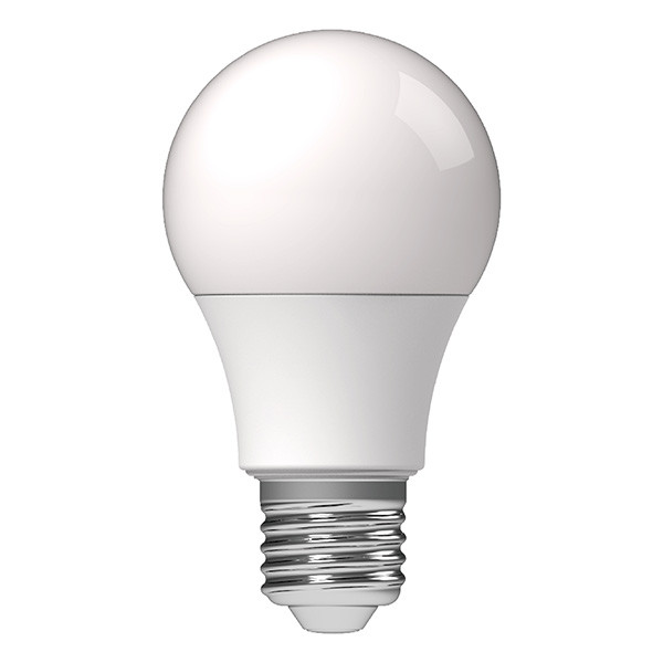 123led LED lamp E27 | Peer A60 | Mat | 4000K | 8W (60W)  LDR06472 - 1