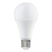 123led LED lamp E27 | Peer A70 | Mat | 2700K | 16W (120W)  LDR06477