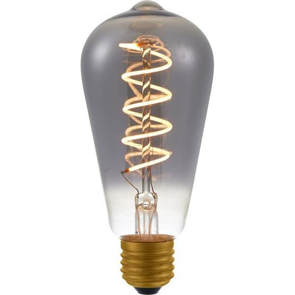 verontschuldigen Overleving uitbreiden Led Filament Edison lamp smoke dimbaar (E27, 4.5W, 2200K, ST64) 123led  123led.nl