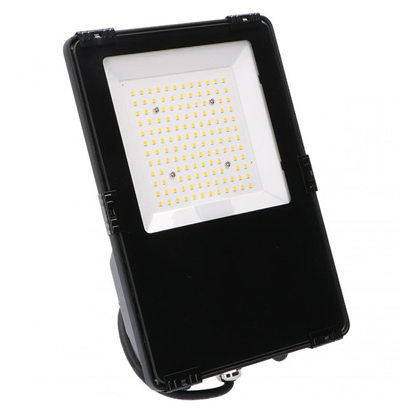 123led Led floodlight helder wit 30W (4650 lumen, 155lm/w, 123led huismerk)  LDR06235 - 1