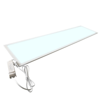 123led Led paneel 30x120 cm | 6000K | 3840 lumen | 32W  LDR03264