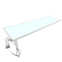 123led Led paneel 30x120 cm | UGR19 | 6000K | 4000 lumen | 40W  LDR03273