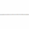 Led strip 5 meter | RGB | COB | 840 leds p/m | IP67 | 24V LLE00024 - 2