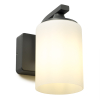 123led Led wandlamp mat glas | Abilene | Geschikt voor 1x E27 (Antraciet, IP44)  LDR06291