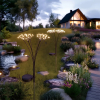 Solar tuinverlichting | Starburst | Zwart | 2 stuks LDR09439 - 1