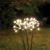 Solar tuinverlichting | Starburst | Zwart | 2 stuks LDR09439 - 2