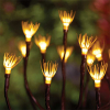 123led Solar tuinverlichting | Wild Fennel | 42 lumen | Zwart  LDR09438 - 2