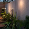 123led Solar tuinverlichting met sensor | Firefly | Zwart  LDR09421 - 2
