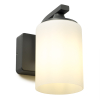 Wandlamp buiten glas | E27 | Abilene | IP44 | Antraciet