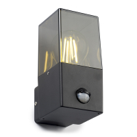123led Wandlamp buiten met sensor E27 | Vierkant | Smokey | IP44 | Zwart  LDR08513