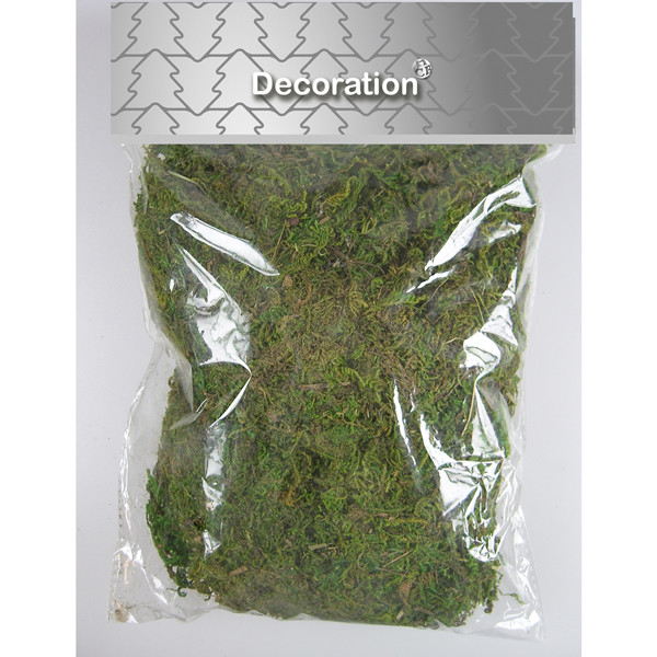 Anna Collection Decoratie mos 50 gram | groen | voor binnen | 123led huismerk  LCO00057 - 1