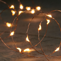Anna Collection Draadverlichting op batterijen | 1 meter | Warm wit | 20 leds | Koper  LCO00093