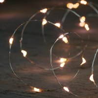 Anna Collection Draadverlichting op batterijen | 1 meter | Warm wit | 20 leds | Zilver  LCO00175