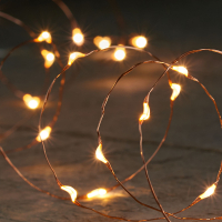 Anna Collection Draadverlichting op batterijen | 2 meter | Warm wit | 40 leds | Koper  LCO00179